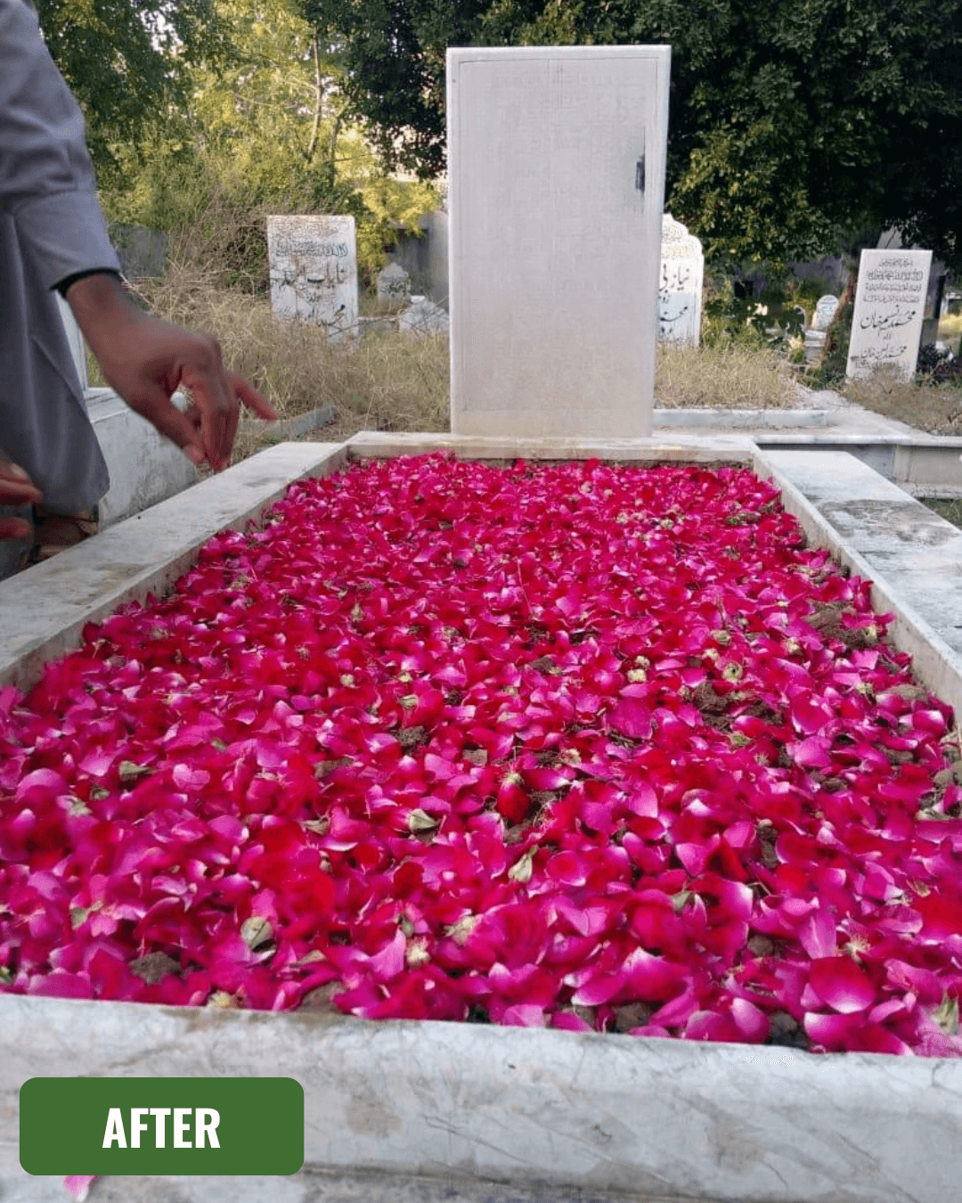 Grave after cleaning in Islamabad