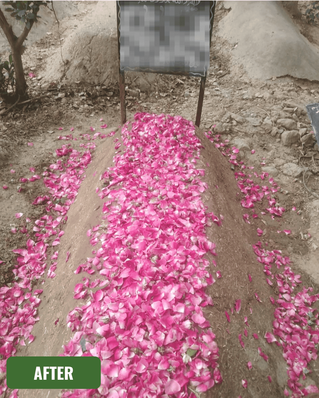 Grave after cleaning in Karachi