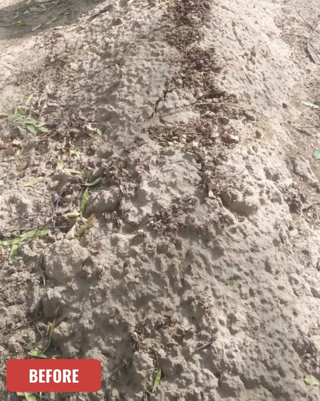 Grave before cleaning in Peshawar