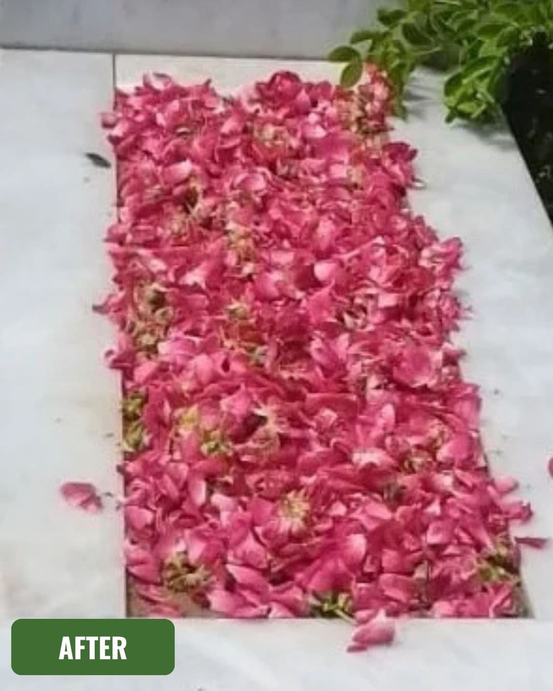 Grave after cleaning in Multan