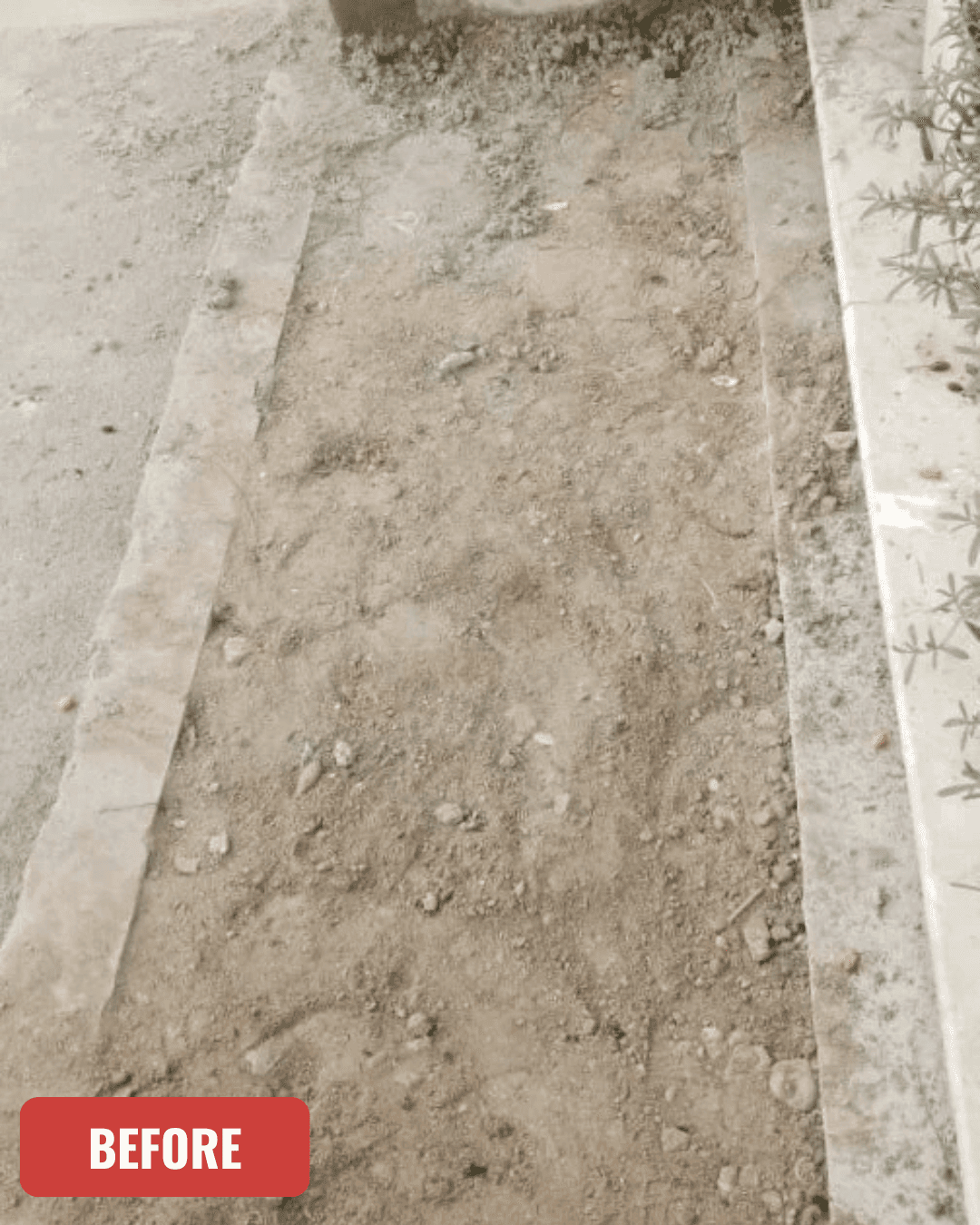 Grave before cleaning in Multan