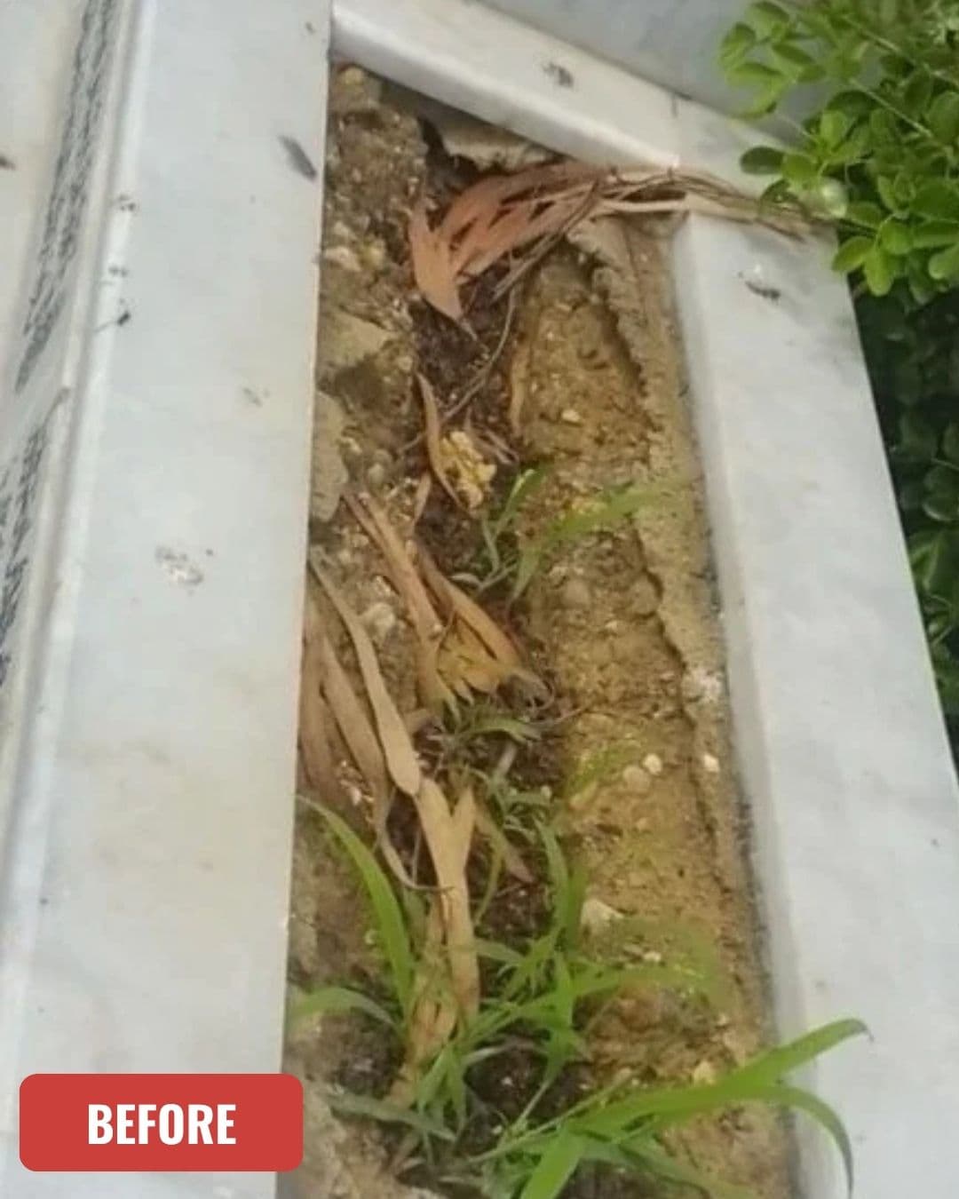 Grave before cleaning in Multan